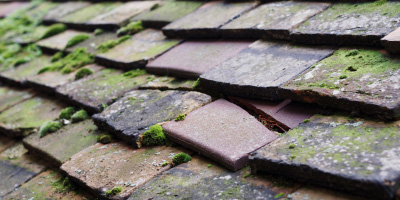 Combe roof repair costs